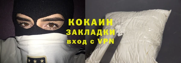 шишки Абинск
