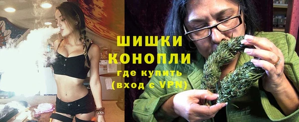 шишки Абинск