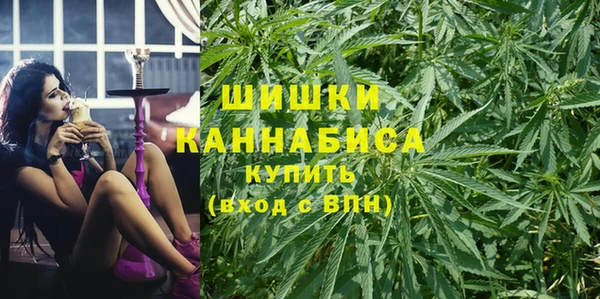 шишки Абинск